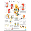 4006740_1001646_VR2170 Schulter_F.indd